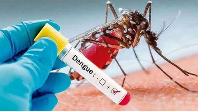 dengue