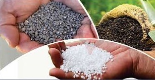  চাঁদপুরে সারের অভাবে চাষাবাদে চরম বিপর্যয়
