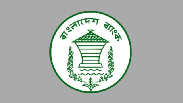 অ্যামাজন-আলি এক্সপ্রেসে পণ্য বিক্রির সুযোগ পেলেন দেশীয় উদ্যোক্তারা