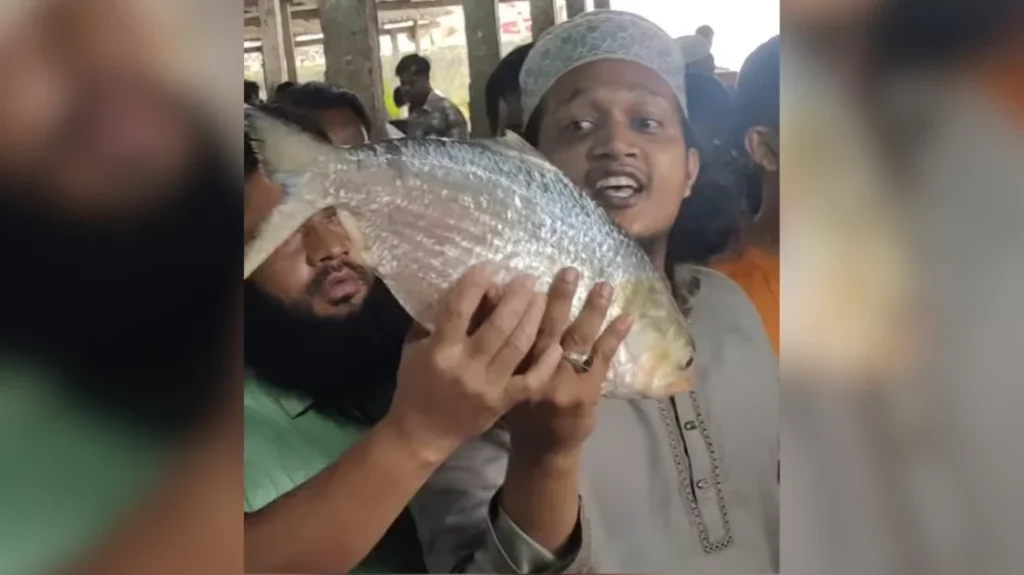 ২ কেজি ৯০০ গ্রাম ওজনের একটি ‘রাজা ইলিশ’ বিক্রি ১৭ হাজার টাকায়