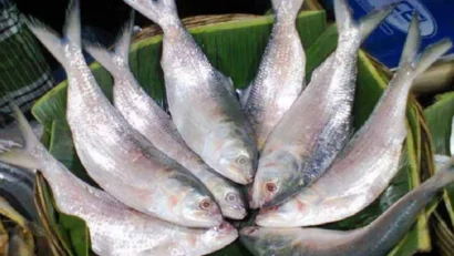 দুর্গাপূজার আগে বাংলাদেশি ইলিশ চায় ভারত, রপ্তানি নিষেধাজ্ঞা তুলে নেওয়ার আবেদন