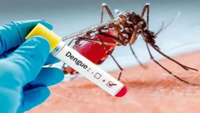 ডেঙ্গুতে মৃত্যু ২০০ ছাড়াল, এক দিনে হাসপাতালে ভর্তি ১ হাজার ৮৬৮