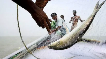 সারা দেশে ২২ দিন ইলিশ ধরা ও বিক্রি বন্ধ